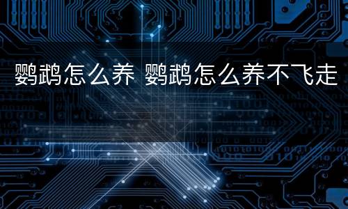 鹦鹉怎么养 鹦鹉怎么养不飞走