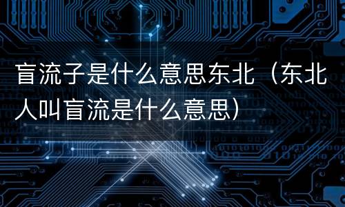 盲流子是什么意思东北（东北人叫盲流是什么意思）