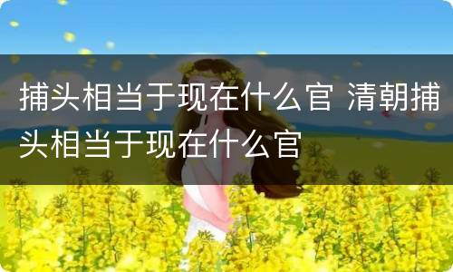 捕头相当于现在什么官 清朝捕头相当于现在什么官