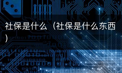 社保是什么（社保是什么东西）