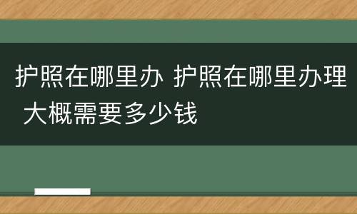 护照在哪里办 护照在哪里办理 大概需要多少钱
