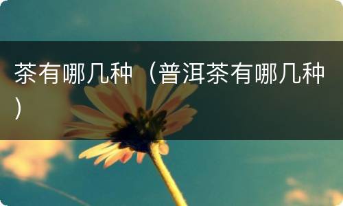 茶有哪几种（普洱茶有哪几种）