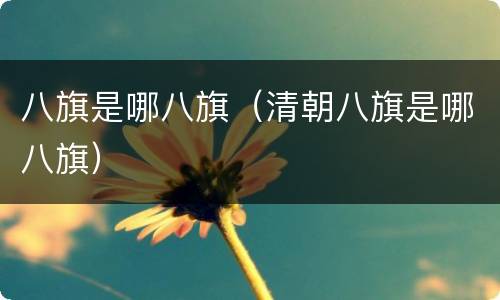 八旗是哪八旗（清朝八旗是哪八旗）