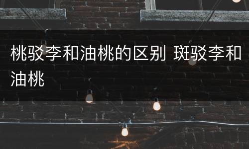 桃驳李和油桃的区别 斑驳李和油桃