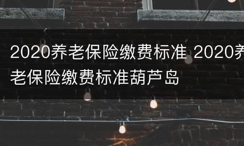 2020养老保险缴费标准 2020养老保险缴费标准葫芦岛