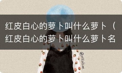 红皮白心的萝卜叫什么萝卜（红皮白心的萝卜叫什么萝卜名字）