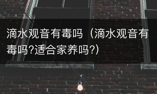 滴水观音有毒吗（滴水观音有毒吗?适合家养吗?）