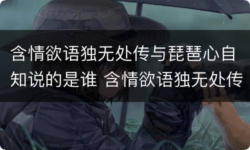 含情欲语独无处传与琵琶心自知说的是谁 含情欲语独无处传与琵琶心自知写的什么人