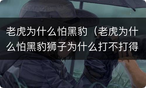 老虎为什么怕黑豹（老虎为什么怕黑豹狮子为什么打不打得过老虎?淘宝）