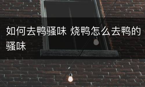 如何去鸭骚味 烧鸭怎么去鸭的骚味