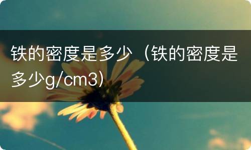 铁的密度是多少（铁的密度是多少g/cm3）