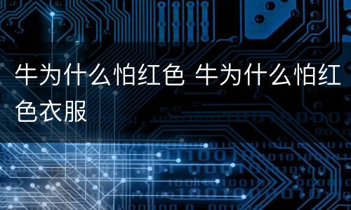 牛为什么怕红色 牛为什么怕红色衣服