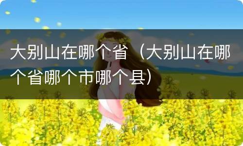 大别山在哪个省（大别山在哪个省哪个市哪个县）