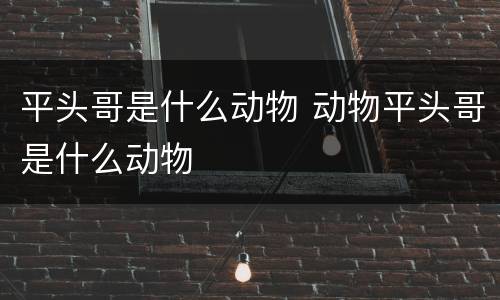 平头哥是什么动物 动物平头哥是什么动物