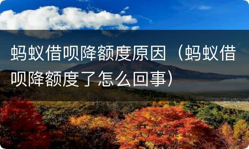 蚂蚁借呗降额度原因（蚂蚁借呗降额度了怎么回事）