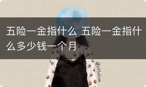 五险一金指什么 五险一金指什么多少钱一个月
