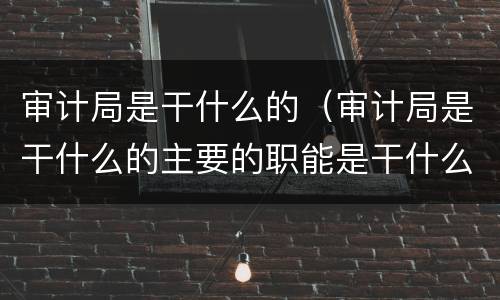 审计局是干什么的（审计局是干什么的主要的职能是干什么的）