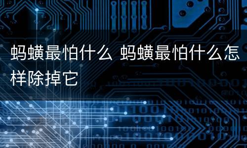 蚂蟥最怕什么 蚂蟥最怕什么怎样除掉它