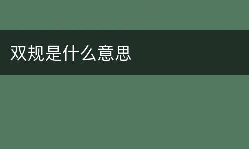 双规是什么意思