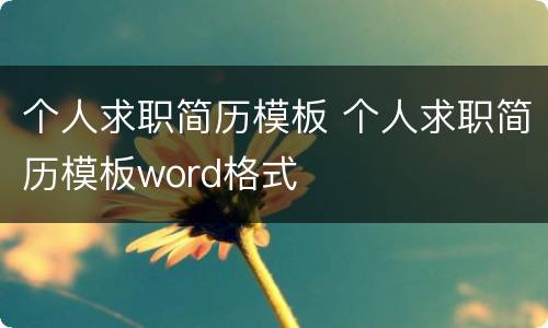 个人求职简历模板 个人求职简历模板word格式