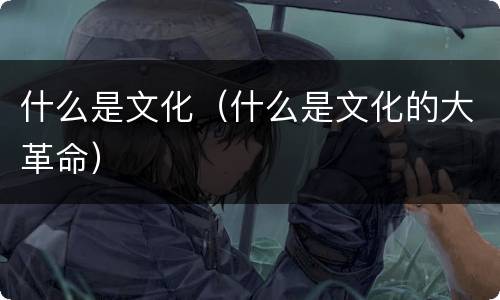 什么是文化（什么是文化的大革命）