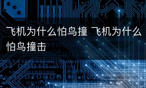 飞机为什么怕鸟撞 飞机为什么怕鸟撞击