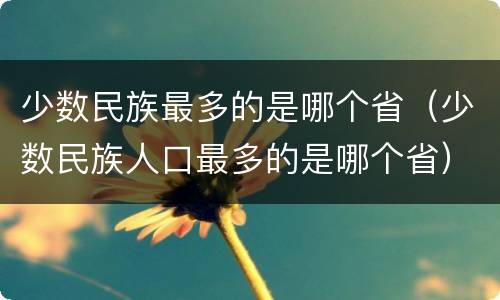 少数民族最多的是哪个省（少数民族人口最多的是哪个省）