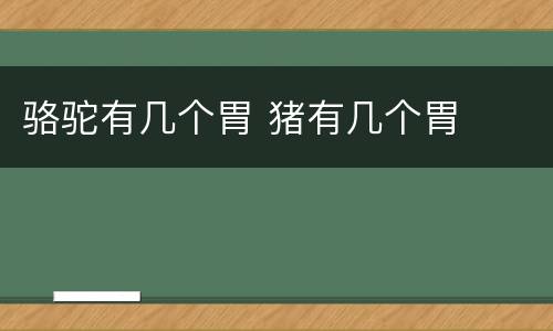 骆驼有几个胃 猪有几个胃