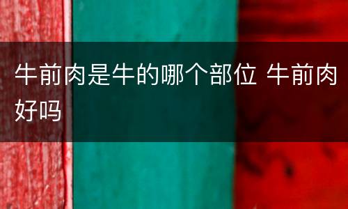 牛前肉是牛的哪个部位 牛前肉好吗