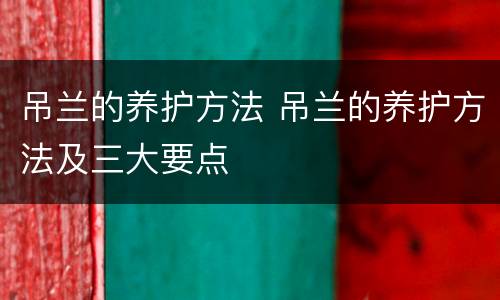 吊兰的养护方法 吊兰的养护方法及三大要点