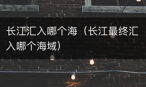 长江汇入哪个海（长江最终汇入哪个海域）