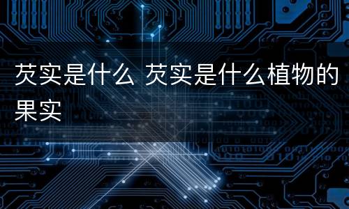 芡实是什么 芡实是什么植物的果实