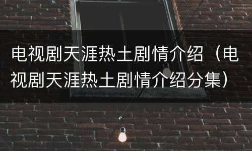电视剧天涯热土剧情介绍（电视剧天涯热土剧情介绍分集）