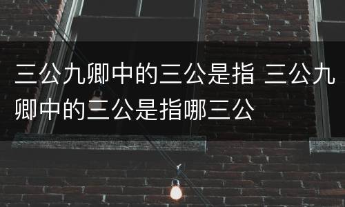 三公九卿中的三公是指 三公九卿中的三公是指哪三公