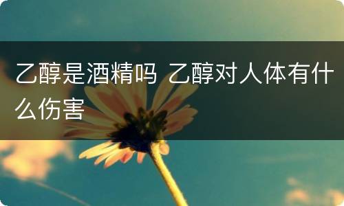 乙醇是酒精吗 乙醇对人体有什么伤害
