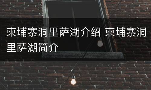 柬埔寨洞里萨湖介绍 柬埔寨洞里萨湖简介