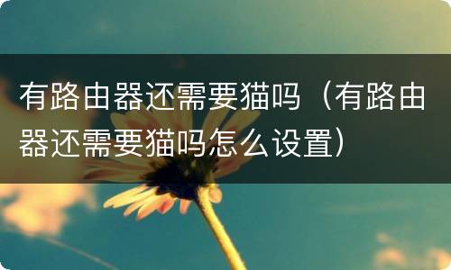 有路由器还需要猫吗（有路由器还需要猫吗怎么设置）