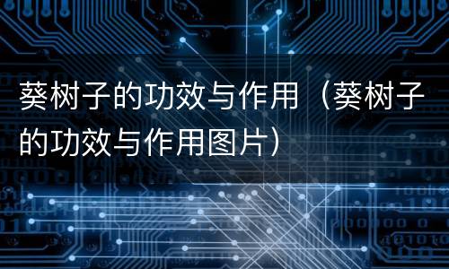 葵树子的功效与作用（葵树子的功效与作用图片）