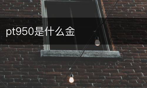 pt950是什么金