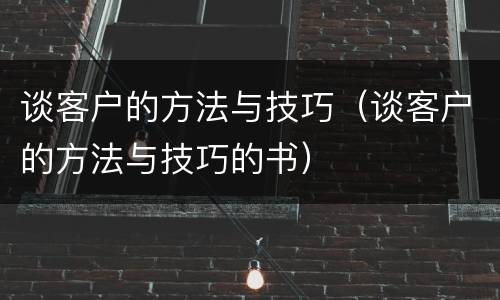 谈客户的方法与技巧（谈客户的方法与技巧的书）
