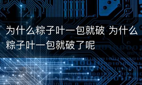 为什么粽子叶一包就破 为什么粽子叶一包就破了呢