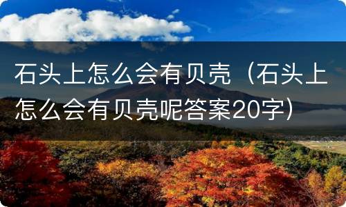 石头上怎么会有贝壳（石头上怎么会有贝壳呢答案20字）
