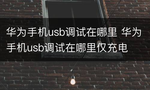 华为手机usb调试在哪里 华为手机usb调试在哪里仅充电