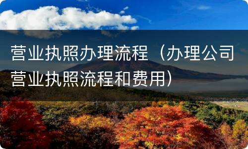 营业执照办理流程（办理公司营业执照流程和费用）