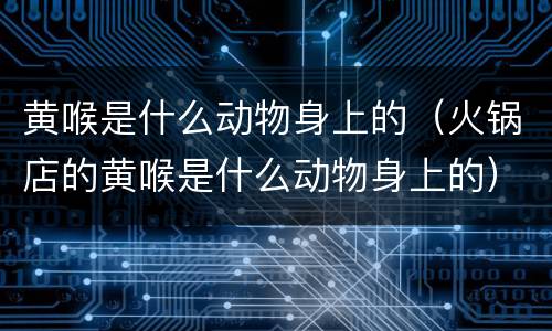 黄喉是什么动物身上的（火锅店的黄喉是什么动物身上的）