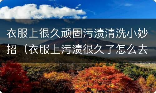 衣服上很久顽固污渍清洗小妙招（衣服上污渍很久了怎么去掉）