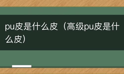 pu皮是什么皮（高级pu皮是什么皮）
