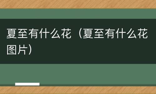 夏至有什么花（夏至有什么花图片）