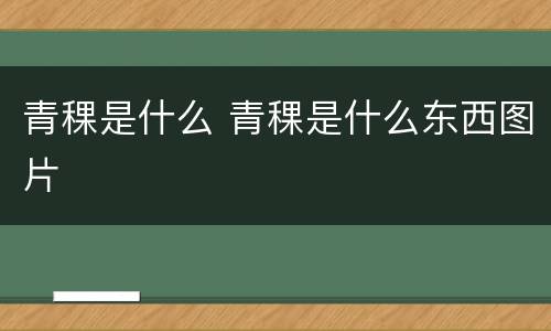 青稞是什么 青稞是什么东西图片