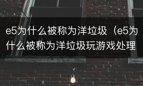 e5为什么被称为洋垃圾（e5为什么被称为洋垃圾玩游戏处理器用至强系列还是酷睿）